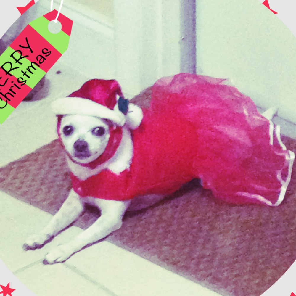 Meet your Posher, Cloe